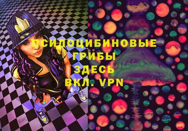 гидропоника Абаза