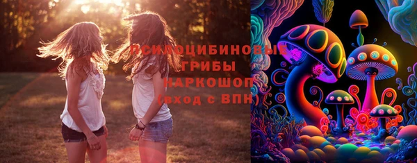 гидропоника Абаза