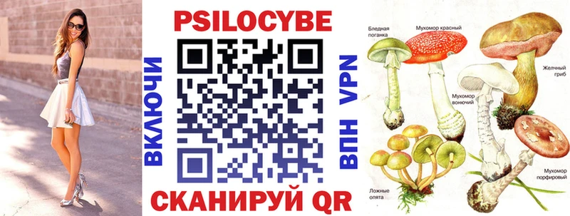 Псилоцибиновые грибы MAGIC MUSHROOMS  Инсар 